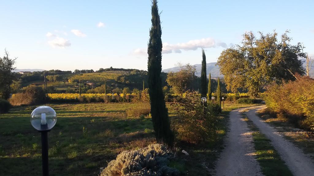 Bucine Agricampeggio Madonna Di Pogi מראה חיצוני תמונה