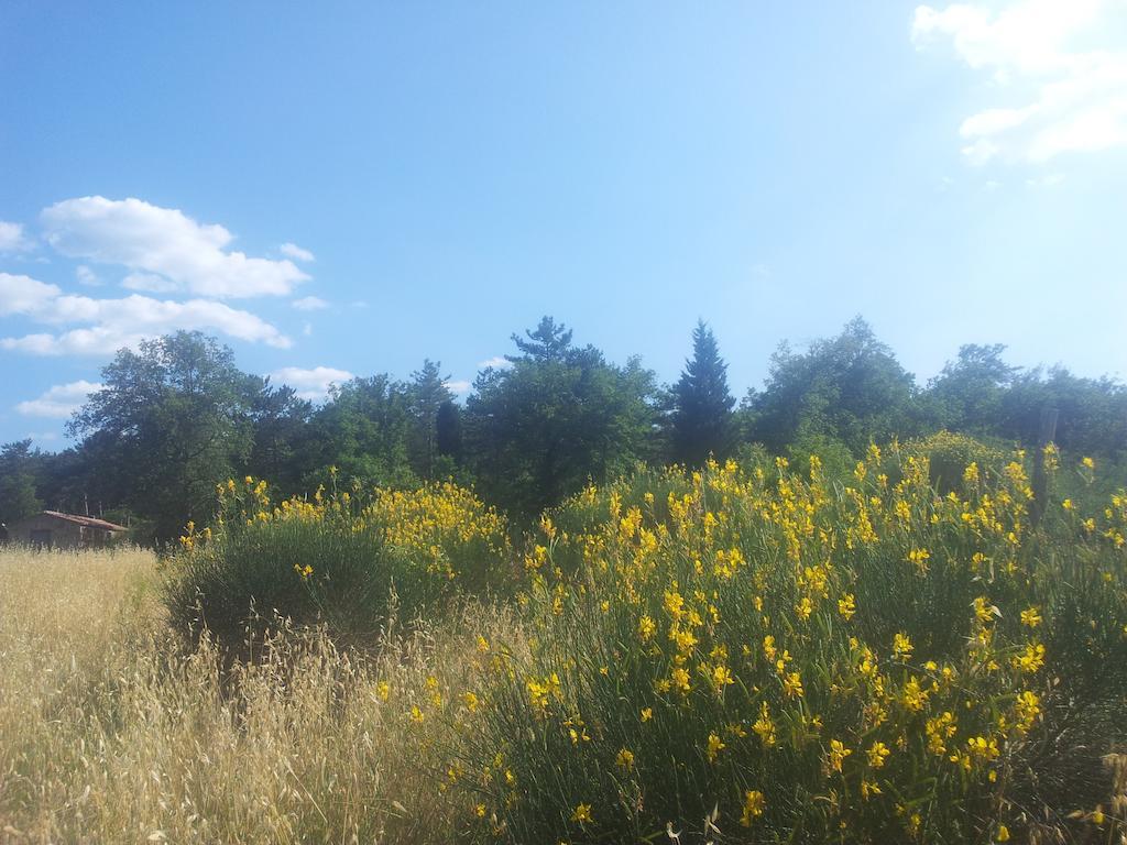 Bucine Agricampeggio Madonna Di Pogi מראה חיצוני תמונה